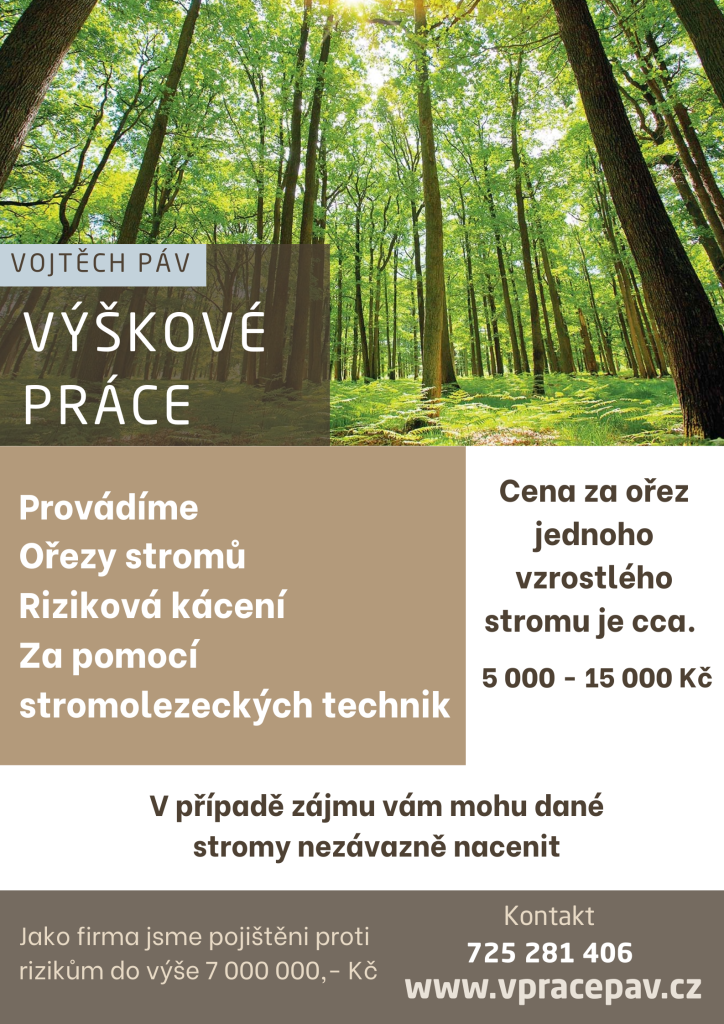 Ořezy stromů