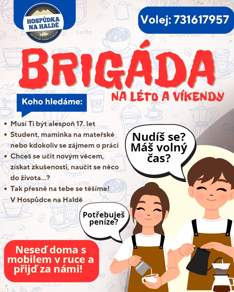 Brigáda na&nbsp;Haldě