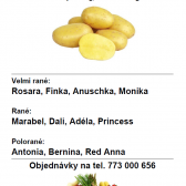 Zelenina Juvita - objednávka sadbových brambor 1