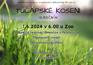 Tučapské kosení - 1. 6. 2024 1